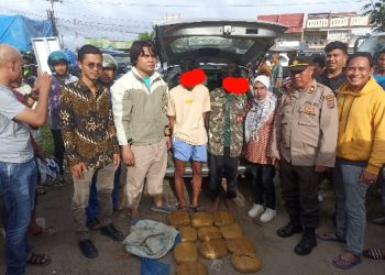 Tangkap Jaringan Narkoba Antar Provinsi, BNNP Sumbar Amankan 8 kg Ganja