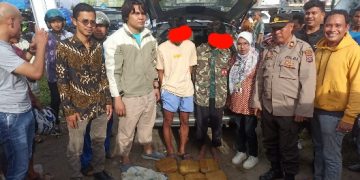 Tangkap Jaringan Narkoba Antar Provinsi, BNNP Sumbar Amankan 8 kg Ganja