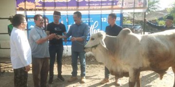 Rutin Laksanakan Kurban, Masyarakat Tanah Garam : Baru Pertama Kali Kami Dapat Hewan Kurban dari Anggota DPR RI