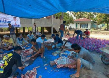 Kembali Alokasikan Hewan Kurban Ke Dharmasraya, Masyarakat Bersyukur Punya Anggota Dewan Seperti Athari