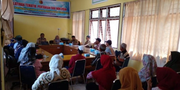 Pemko Solok Gelar Pelatihan Tematik di Tengah Berkurangnya Subsidi Pupuk Pertanian