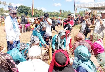 Festival Lima Kaum Malomang Sangat Unik Dilaksanakan di Tengah Sawah