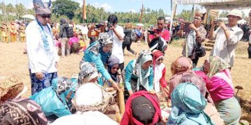 Festival Lima Kaum Malomang Sangat Unik Dilaksanakan di Tengah Sawah