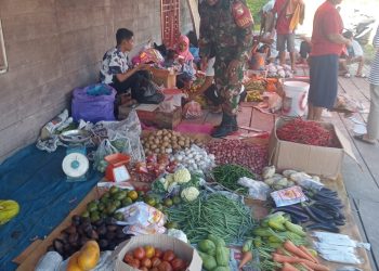 Guna Menjaga Ketersediaan Sembako Dipasar Tradisional, Babinsa Koramil 01/Sikabaluan Monitoring Stok Sembako