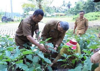 Lakukan Aksi Nyata Dalam Penekanan Laju Inflasi, Wako Solok Apresiasi Dinas Pertanian Kota Solok