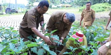 Lakukan Aksi Nyata Dalam Penekanan Laju Inflasi, Wako Solok Apresiasi Dinas Pertanian Kota Solok