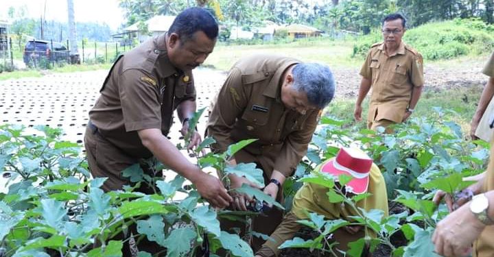 Lakukan Aksi Nyata Dalam Penekanan Laju Inflasi, Wako Solok Apresiasi Dinas Pertanian Kota Solok