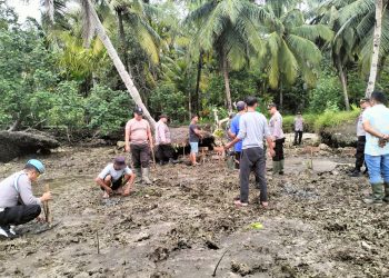 Berkontribusi Mencegah Perubahan Iklim, Polsek Sipora Laksanakan Penanaman Manggrove