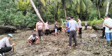 Berkontribusi Mencegah Perubahan Iklim, Polsek Sipora Laksanakan Penanaman Manggrove