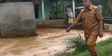 Luapan Batang Pulan Rendam Rumah Warga dan Rusak Lahan Pertanian di Pasaman