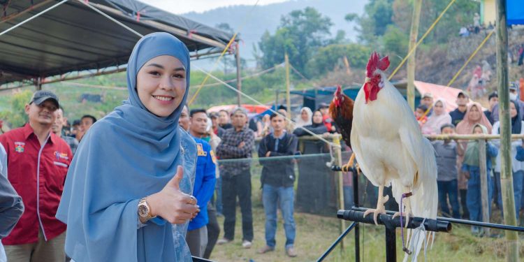 Hadiri Kontes AKB Sungai Rotan, Athari : Potensi Wisata Daerah Harus Didukung dengan Infrastruktur yang Baik