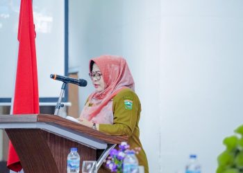 Pemkab Solok Gelar Konsultasi Publik I Penyusunan Kajian Lingkungan Hidup Strategis (KLHS)
