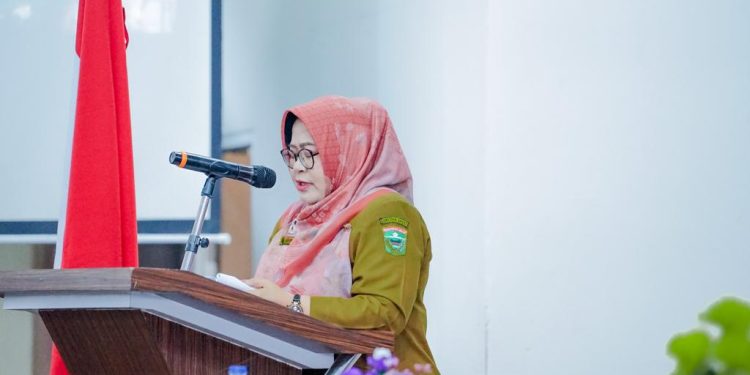 Pemkab Solok Gelar Konsultasi Publik I Penyusunan Kajian Lingkungan Hidup Strategis (KLHS)