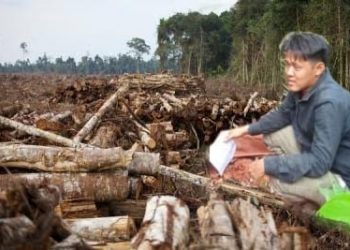 Disebut Penadah dan Pemodal Ilegal Loging, Zhu Yau Chen Barkata Kotor Saat Dikonfirmasi