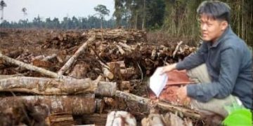 Disebut Penadah dan Pemodal Ilegal Loging, Zhu Yau Chen Barkata Kotor Saat Dikonfirmasi