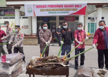 Bupati Solok Hadiri Pemusnahan Barang Bukti Tindak Pidana Umum di Kejaksaan Negeri Solok