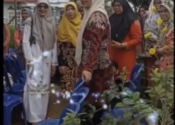 Ketua TP PKK Kota Bukittinggi Kunjungi KWT Binaan Dinas Pertanian dan Pangan