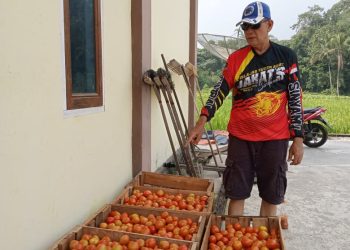 Patut Dicontoh, Kompol Russirwan, SH Punya Usaha Sampingan Bertanam Sayur Menghasilkan Puluhan Juta dalam Tempo 100 Hari