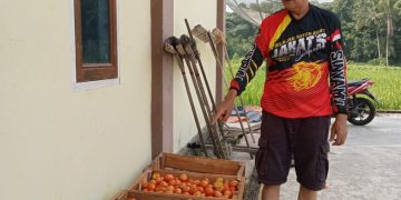 Patut Dicontoh, Kompol Russirwan, SH Punya Usaha Sampingan Bertanam Sayur Menghasilkan Puluhan Juta dalam Tempo 100 Hari