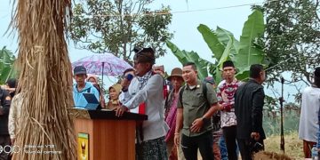 Nagari Kumango Kembali Melaksanakan Event Baluluak Bajarami