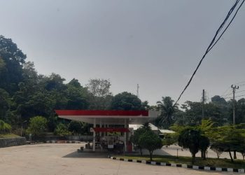 Sempat Viral, Supir Truck Ekspedisi Sebar Hoax di Medsos