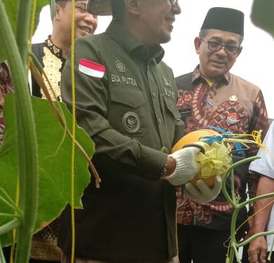 Panen Raya Buah Melon SMKN 2 Batusangkar Dihadiri Bupati Eka Putra