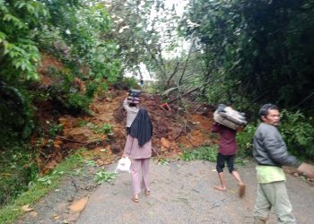 Longsor di Nagari Lolo, Alat Berat dan TRC BPBD Bersihkan Material Longsor