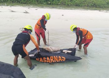 Tim SAR Gabungan Mentawai Berhasil Menemukan Korban Laka Laut dalam Keadaan Meninggal Dunia