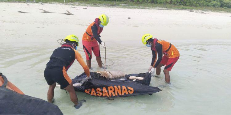 Tim SAR Gabungan Mentawai Berhasil Menemukan Korban Laka Laut dalam Keadaan Meninggal Dunia