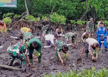 PJ Bupati Mentawai Hadiri Penanaman Magrove Program Unggulan KASAD TNI AD