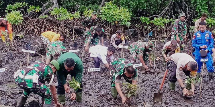 PJ Bupati Mentawai Hadiri Penanaman Magrove Program Unggulan KASAD TNI AD