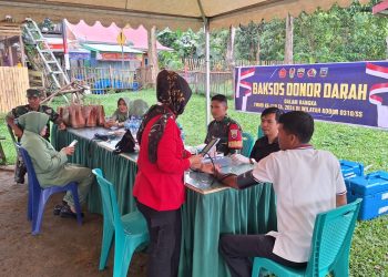 Bakti Sosial Donor Darah, Dalam rangka Program Non Fisik TMMD Ke-119 Tahun 2024