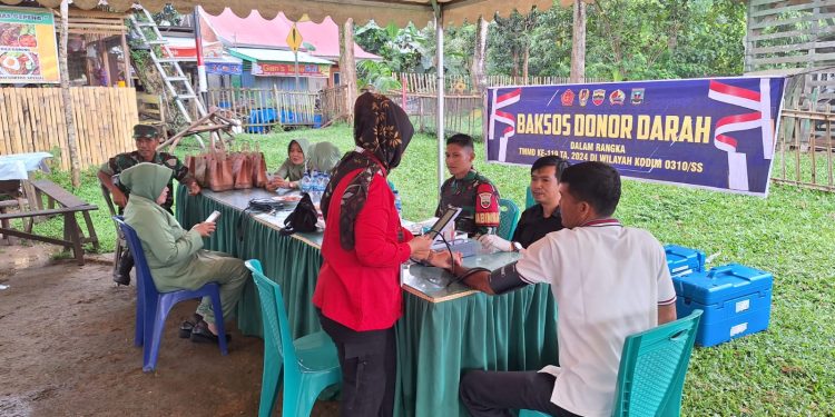 Bakti Sosial Donor Darah, Dalam rangka Program Non Fisik TMMD Ke-119 Tahun 2024