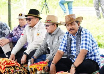Bupati Eka Putra Menutup Acara Alek Pacu Jawi Di Sawah Banda Bawah Nagari Sawah Tangah Pariangan