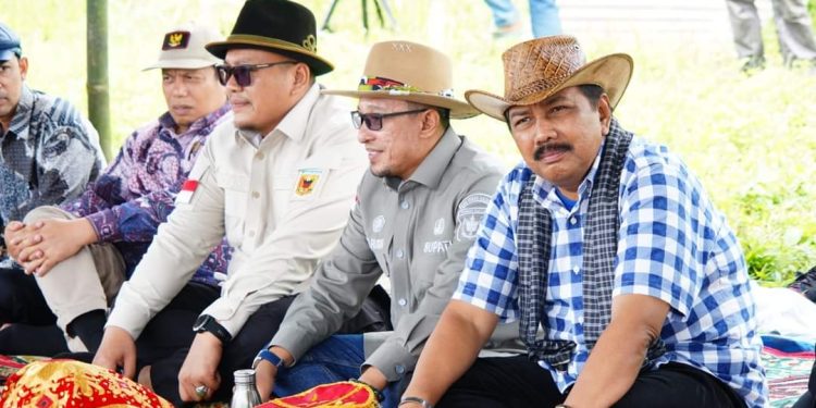 Bupati Eka Putra Menutup Acara Alek Pacu Jawi Di Sawah Banda Bawah Nagari Sawah Tangah Pariangan