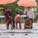 Kejati Sumbar Didampingi Sekda Mentawai Laksanakan Penanaman Satu Hektar Cabe