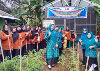 Pengendalian Inflasi, Pemko Solok Laksanakan Gerakan Tanam Cabe Serentak