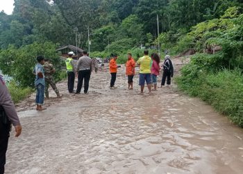 Jalan Padang Panjang-Solok Tertutup Longsor, BPBD Kab. Solok Turun ke Lokasi