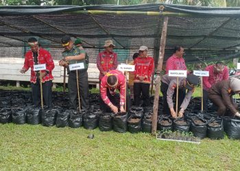 Guna Menekan Angka Inflasi, PJ Bupati Mentawai Laksanakan Gerakkan Menanakan Cabe