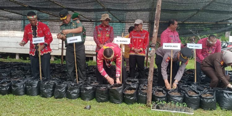 Guna Menekan Angka Inflasi, PJ Bupati Mentawai Laksanakan Gerakkan Menanakan Cabe