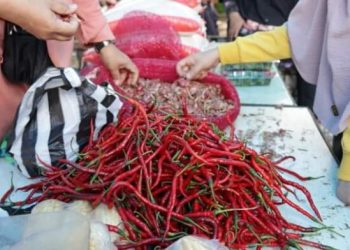 Dinas Koperasi dan Perdagangan Tanah Datar gelar Pasar Murah