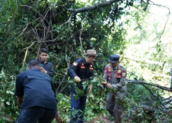 Bencana Longsor Melanda Jorong Tampunik dan Jorong Lembang Singkarak, Bupati Solok Turun Langsung ke Lokasi