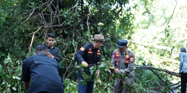 Bencana Longsor Melanda Jorong Tampunik dan Jorong Lembang Singkarak, Bupati Solok Turun Langsung ke Lokasi