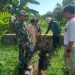 Pemdes Tuapejat Didampingi Babinsa,  PPL dari Dinas Pertanian Melakukan Survei Lapangan Terkait Usulan Pembangunan Jaringan Irigasi