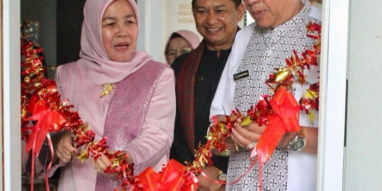 KLINIK ANISA gerbang menuju IKM Kota Payakumbuh Mandiri dan Produktif