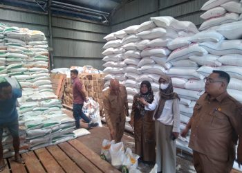Tim Pengendalian Inflasi Daerah Kab. Solok Laksanakan Pemeriksaan Kualitas dan Kuantitas Beras di Gudang Perum Bulog