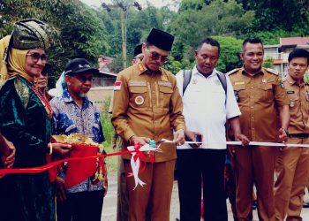Perlancar Distribusi Hasil Pertanian, Bupati Safaruddin Resmikan Jalan Usaha Tani