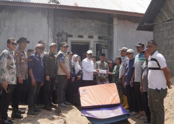 Mensos Turunkan Tim, Bupati Antar Bantuan Viral Rumah Nenek Nurbaina, Dinsos Surati TKSK, Pendamping PKH dan PSM
