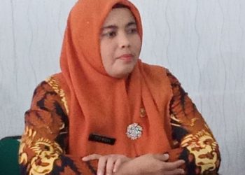 Kadis Kominfo Kab. Solok Apresiasi Wartawan Solok Ikuti UKW