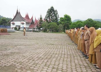 Ir. Desmalia Ramadanur menjadi Pembina Apel Pagi di Lingkup Pemerintah Kabupaten Solok